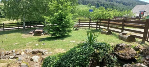 Vila Naša na Goču