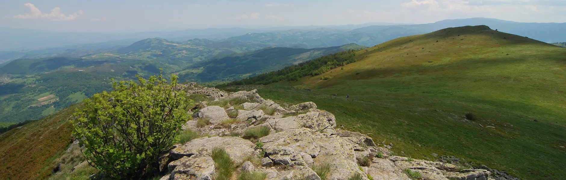 Planina Goč