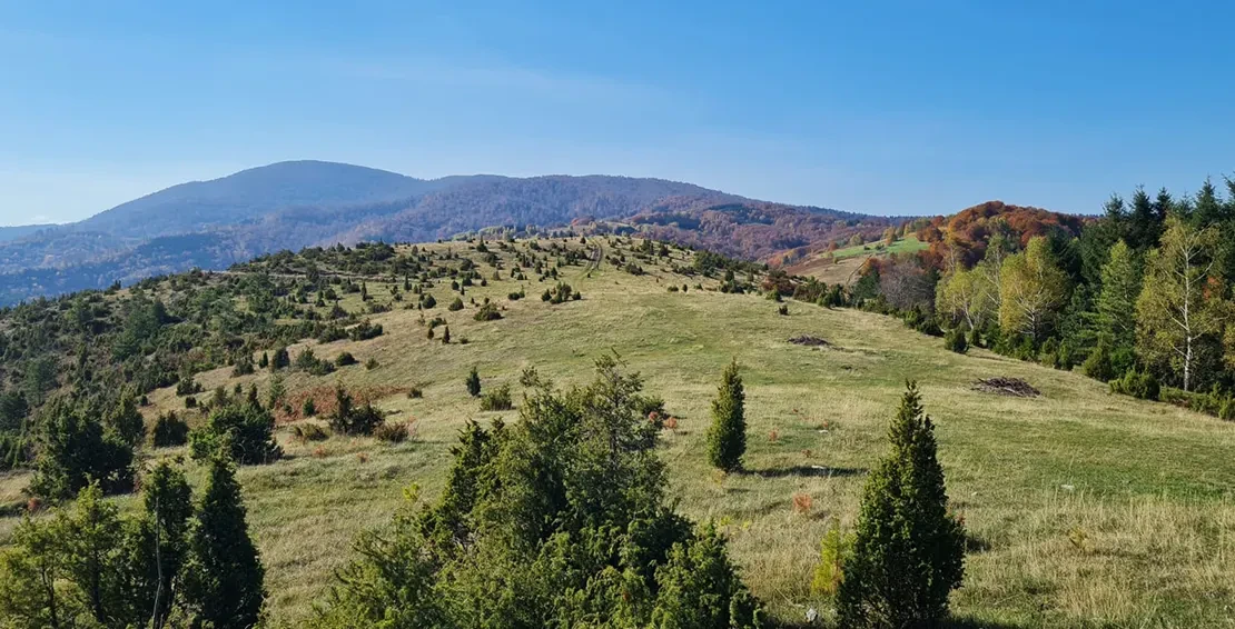 Šetnja na Goču