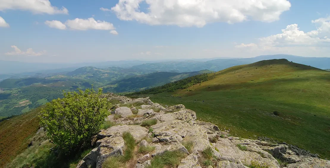 Ljukten - najviši vrh na Goču