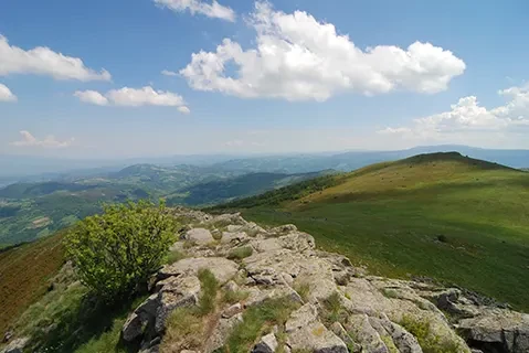 Naselj Horizont