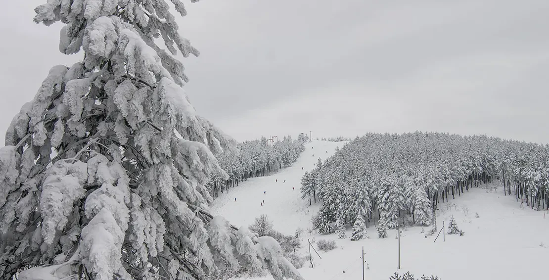 Ski staza na brdu Krst - banjska strana Goča