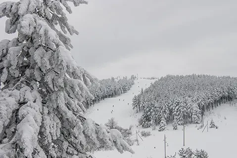 Ski staza Krst Goč - Informacije o stazi i radnom vremenu