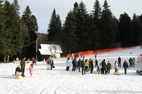 Ski staza na kraljevačkoj strani Goča 3