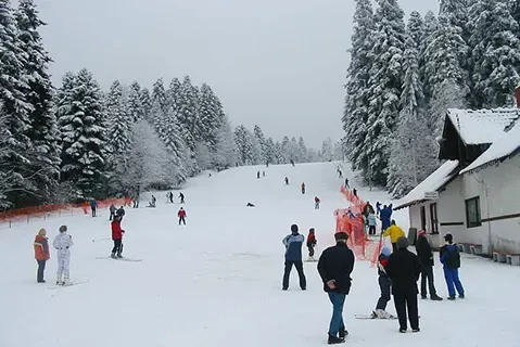 Ski staza na kraljevačkoj strani Goča 1