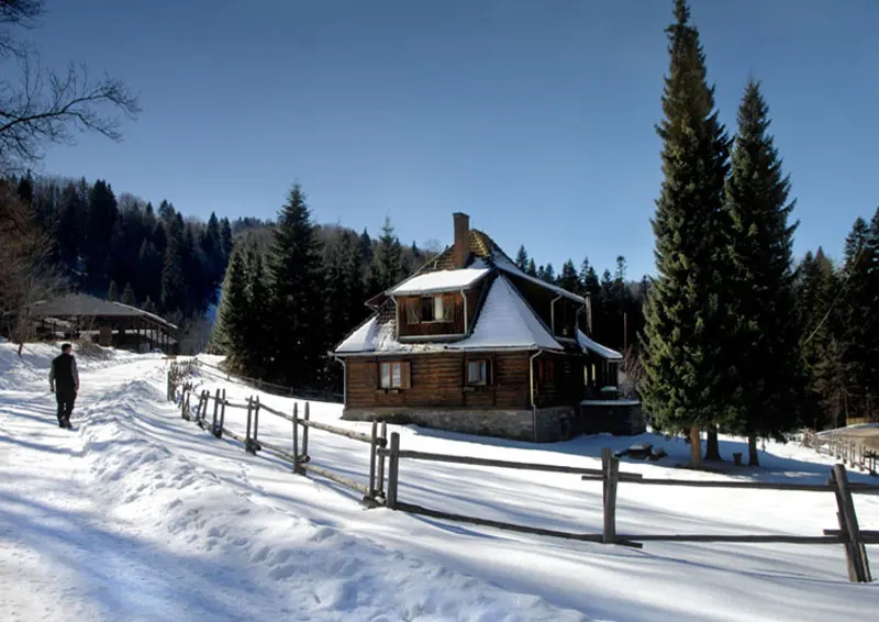 Kraljevačka strana Goča